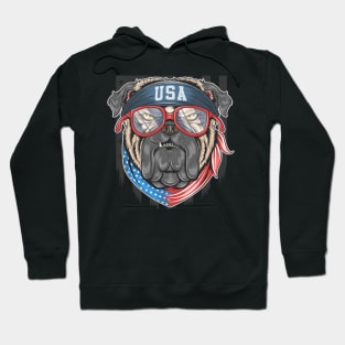 Bulldog USA Hoodie